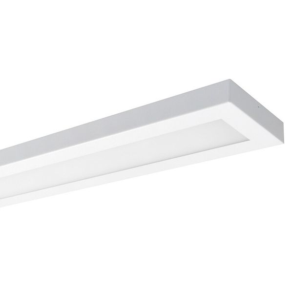 NAOS 1.5ft 3250/840 DALI M1h LED interior light 1x3250 lm 22W IP20 image 1