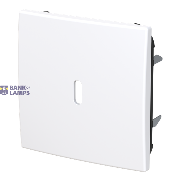 6479-916-510 Cover plate for USB C power adapter image 2