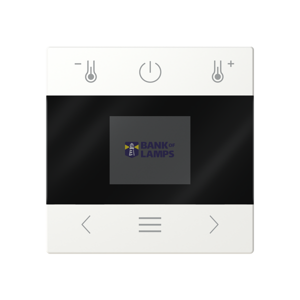 c-plate temp. display image 1