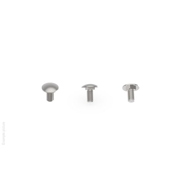 ROUND HEAD SCREW WITH SQUARE UNDERHEAD D0I10A06X20J image 1