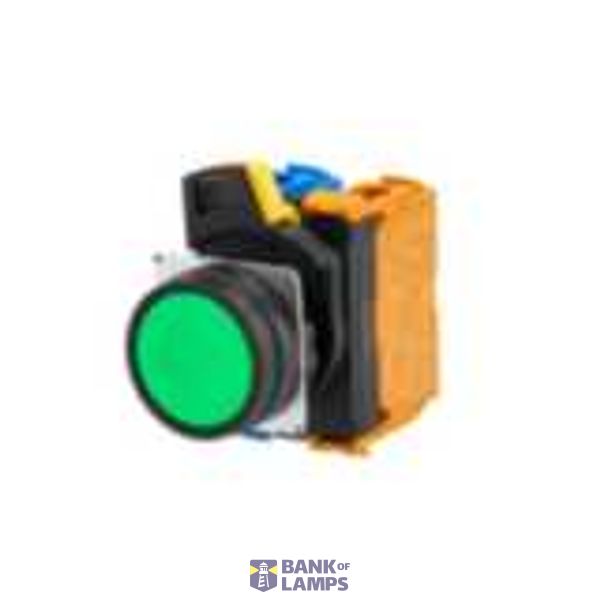 Pushbutton A22NN Ã˜22, bezel plastic, FLAT, Alternate, CAP COLOR Opaque GREEN, , 3NC, NON-LIGHTED A2211206C image 1