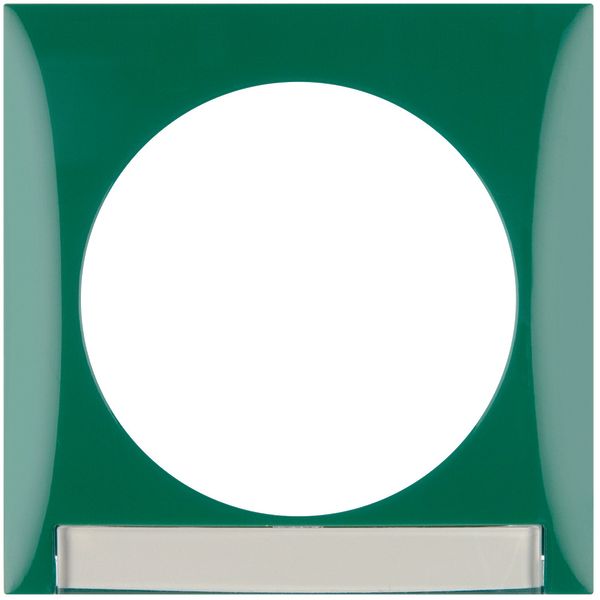 Frame, with labelling field, Integro Flow, green glossy image 1