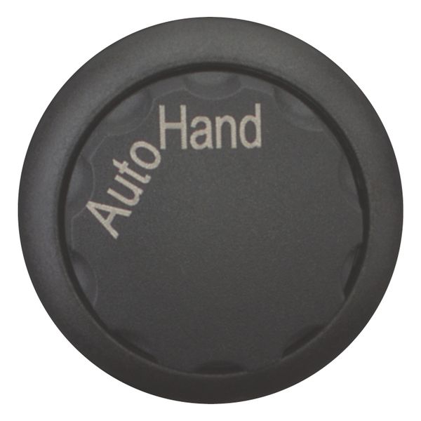 M22S-WR-X91 Changeover switch, RMQ-Titan, With rotary head, maintained, 2 positions, inscribed, Bezel: black, AUTO HAND image 9