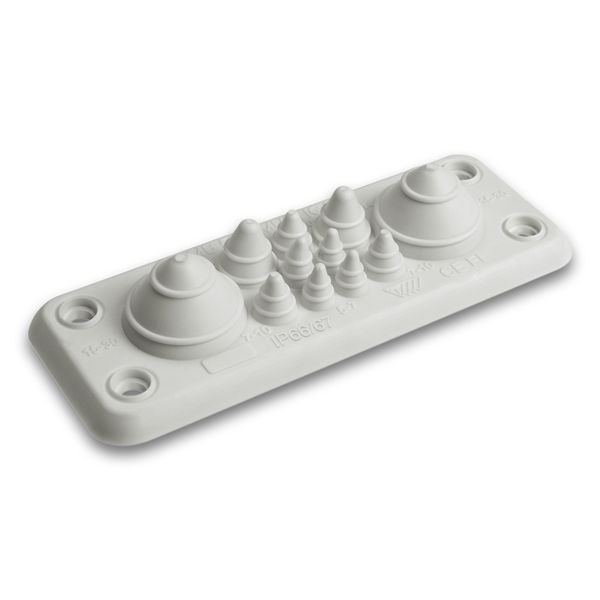 Inlet flange F1 size image 1