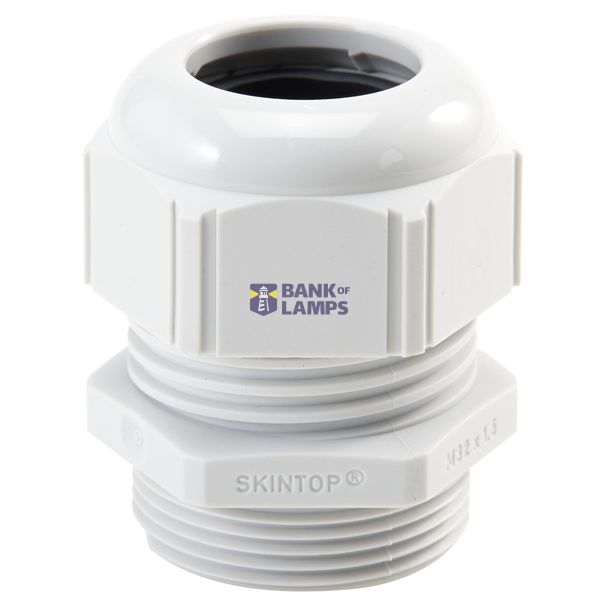 SKINTOP ST-M 25x1,5 RAL 7035 LGY image 2