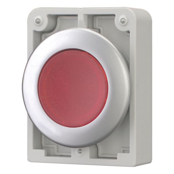 M30C-FDRL-R Illuminated pushbutton actuator, RMQ-Titan, Flat, maintained, red, Blank, Metal bezel image 2