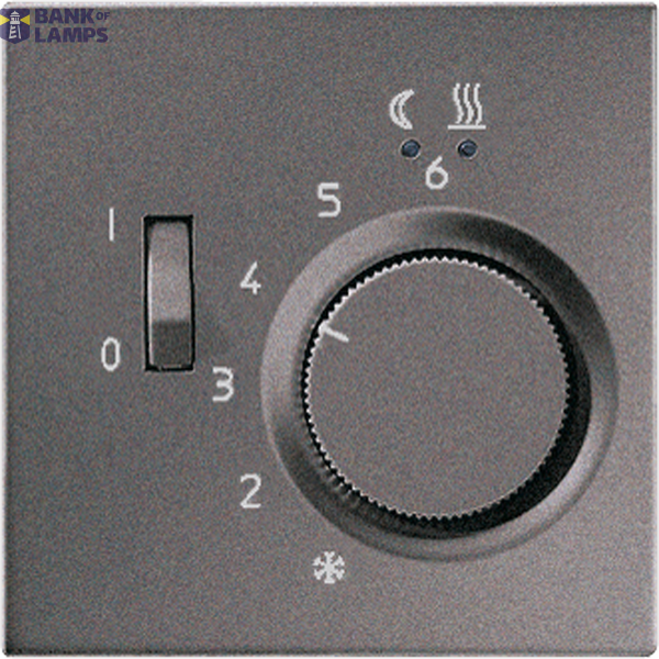 centre plate image 1