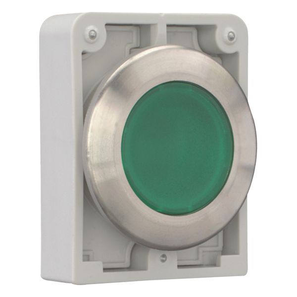 M30I-FDL-G Illuminated pushbutton actuator, RMQ-Titan, flat, momentary, green, blank, Front ring stainless steel image 12