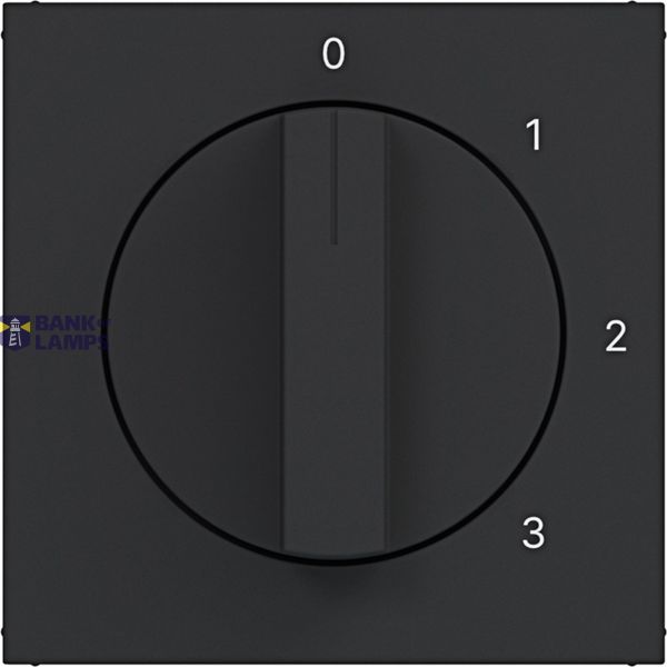 Central plate 3-position switch, neutral position, A.x/C.x matte black image 1