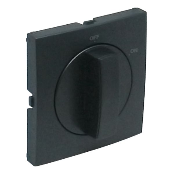 COVER PLATE F/ROTARY SWITCH (ON/OFF) GRAY image 2