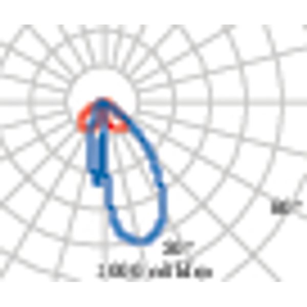 AMON MAXI 24 A17/M 4K ANTR. DIM1-10V image 4