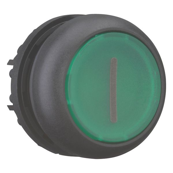 M22S-DL-G-X1 Illuminated pushbutton actuator, RMQ-Titan, Flush, momentary, green, inscribed, Bezel: black image 12