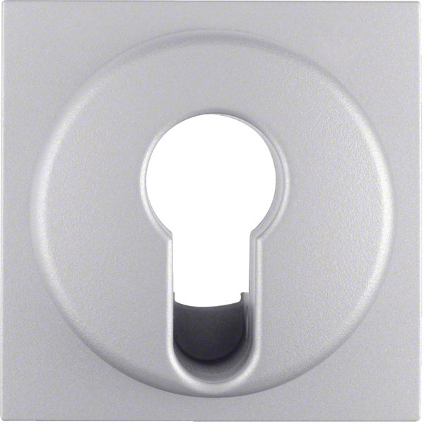 Centre plate for key switch/key push-button, B.7, al., matt, lacq. image 1