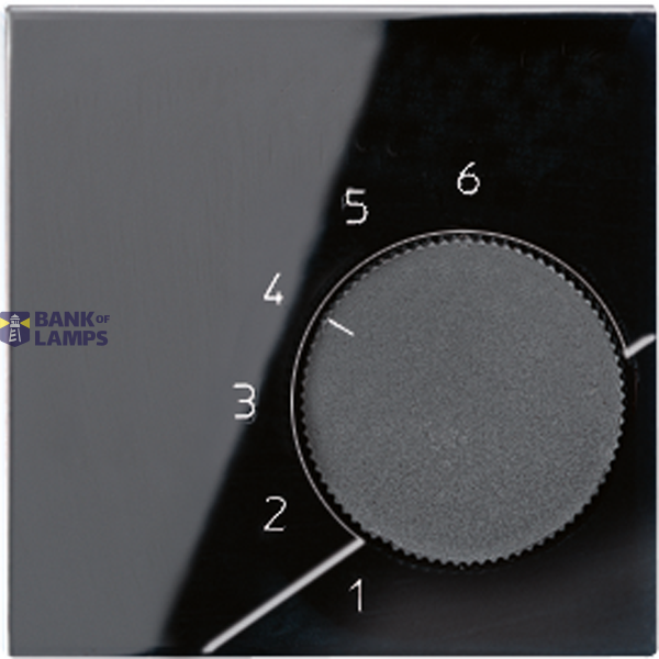 centre plate image 1