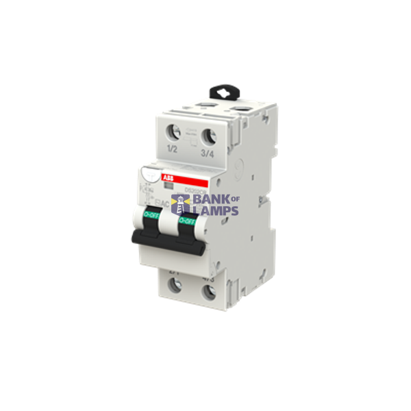 RCBO DS202CR C10 AC30 2P 10A 30mA Type AC image 2