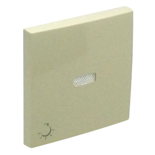 ROCK F/LIGHT SWITCH/PUSH-BUT W/LAMP SYMB IVOR image 2