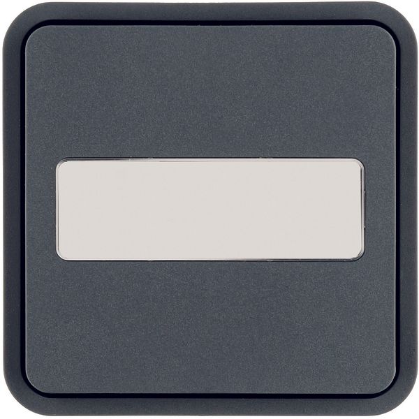 Rocker 1gang for W.1 push-button BCU, with labelling field, grey image 1