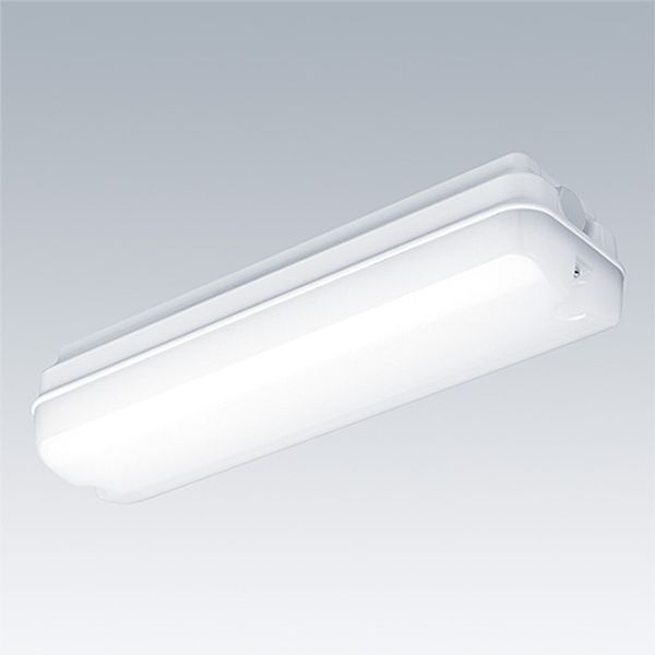 ESCORT I-SLCT 800/1K-840 HF - Wall mounted LED luminaire image 2