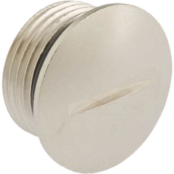 Locking screw brass M75x1.5 with o-ring NBR image 1
