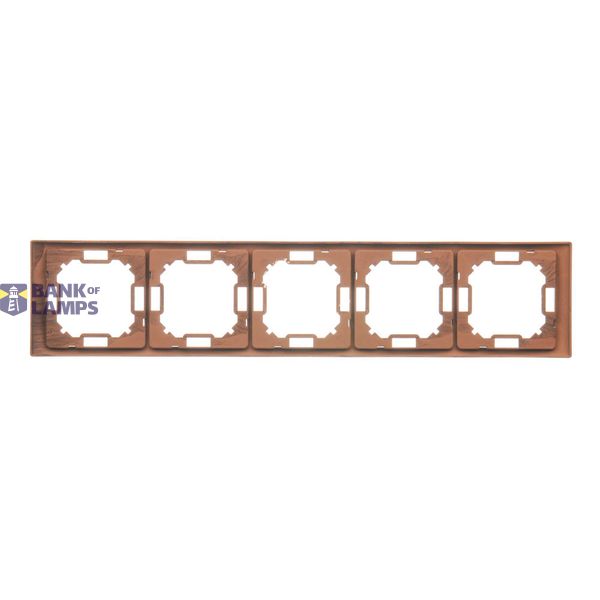 Single earial socket type "F", module, champagne matt image 1