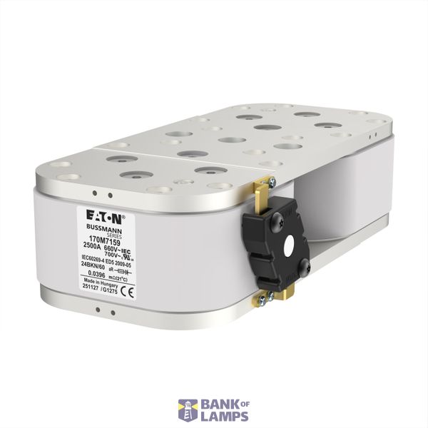 FUSE 2500A 690V 24BKN/60 AR image 1