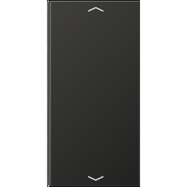 Cover 2-gang with symbols AL2402TSAPAN image 2