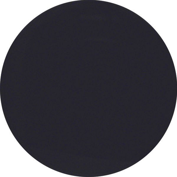 KNX radio button 1gang quicklink, R.1/R.3/1930/R.cl., black glossy image 1