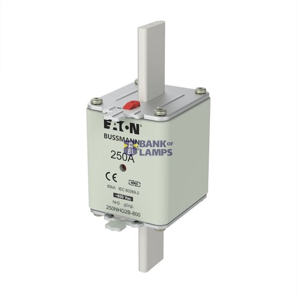 Fuse-link, LV, 250 A, 800 V AC, NH2, Class gG/gL image 6