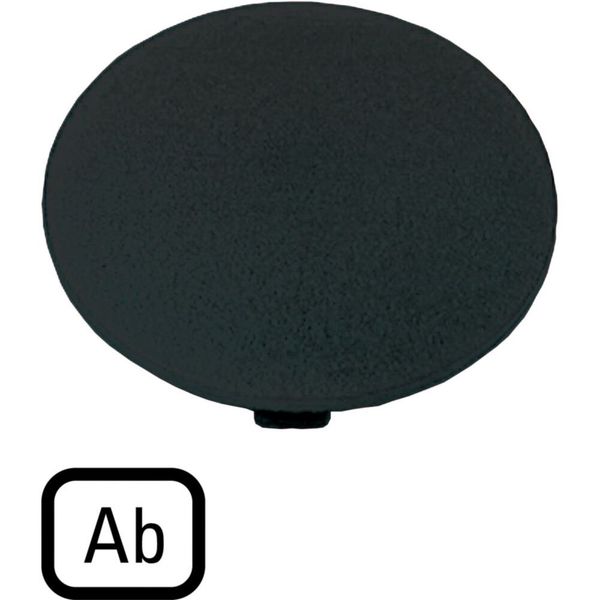 M22-XDP-S-D4 Button plate, mushroom black, AB image 5