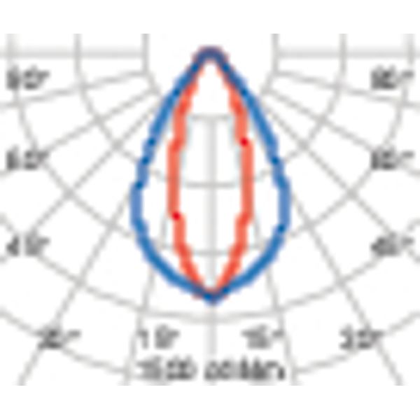 THICK+ 20 31 ELL 35X65 927 ANTHRACITE image 4