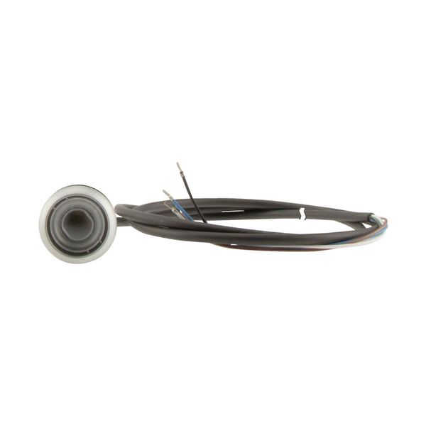 C22-DR-X-K01-P62 Pushbutton, classic, flat, maintained, 1 N/C, cable (black) with non-terminated end, 4 pole, 1 m image 7