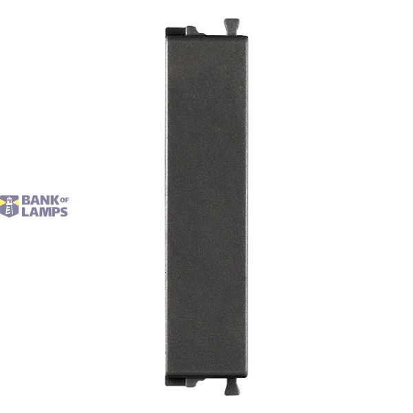 1/2M Blank module carbon matt image 1