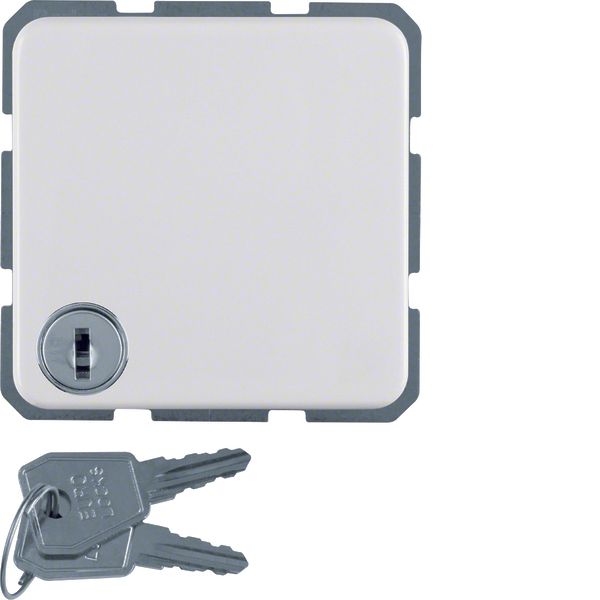 SCHUKO soc.out. hinged cover,lock-differing lockings,splash-prot. flus image 1