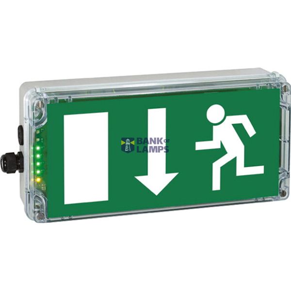 Ex-escape sign luminaires EXIT N with integrated emergency light function for zone 1/21, Pictogram: EN 1838, Arrow: 6 Clock image 1