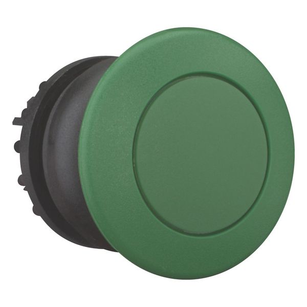M22S-DP-G Mushroom actuator, RMQ-Titan, Mushroom, momentary, Mushroom green, green, Blank, Bezel: black image 6