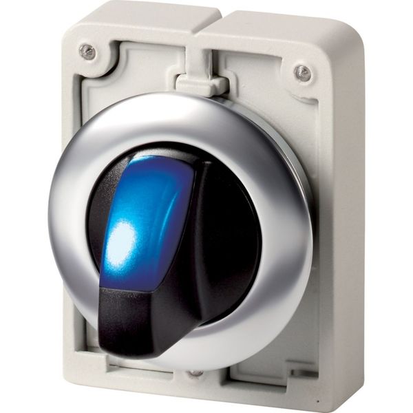 M30I-FWLK-B Illuminated selector switch actuator, RMQ-Titan, with thumb-grip, momentary, 2 positions, Blue, Front ring stainless steel image 4