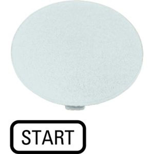M22-XDP-W-GB1 Button plate, mushroom black, START image 4