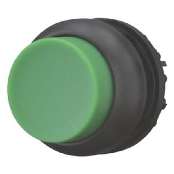M22S-DRH-G Pushbutton, RMQ-Titan, Extended, maintained, green, Blank, Bezel: black image 8