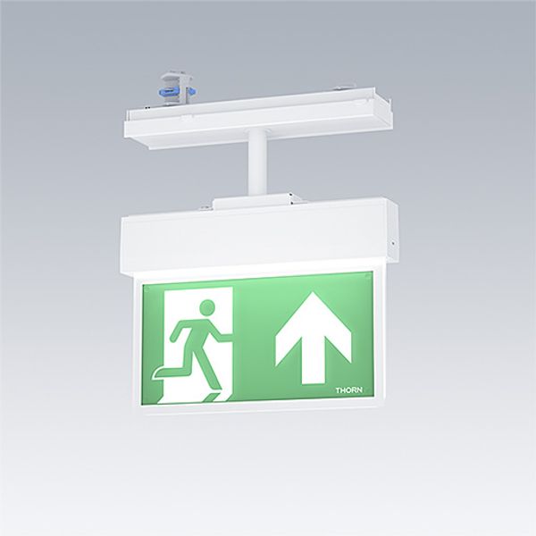 VOYAGER STYLE 115 P CON ECP WH - Escape sign luminaire image 1