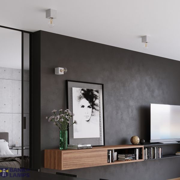 CEILING ARIZ CONCRETE E27 1X60W IP20 image 4