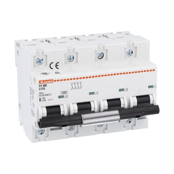 Miniature circuit breaker, 1P, 2P, 3P and 4P - 10kA, characteristic C, 125A image 1