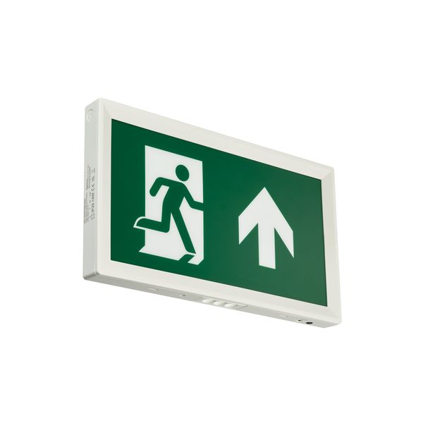 EM155C SLIM WL EXIT SIGN M3 ELB UP WH image 1