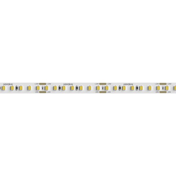 STRIP LED: 11,5W/M-24V-5M-4K 10MM CRI90 image 1