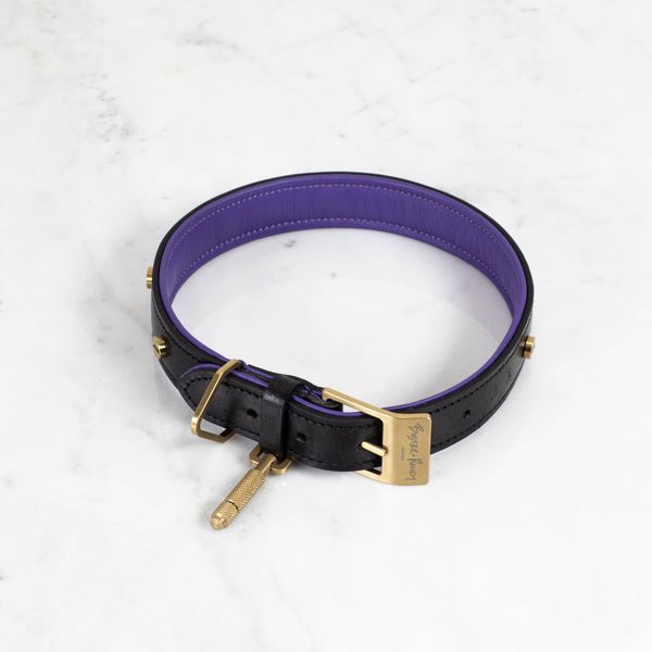 DOG COLLAR / CROSS / X-LARGE / BLACK / PURPLE / BRASS image 2