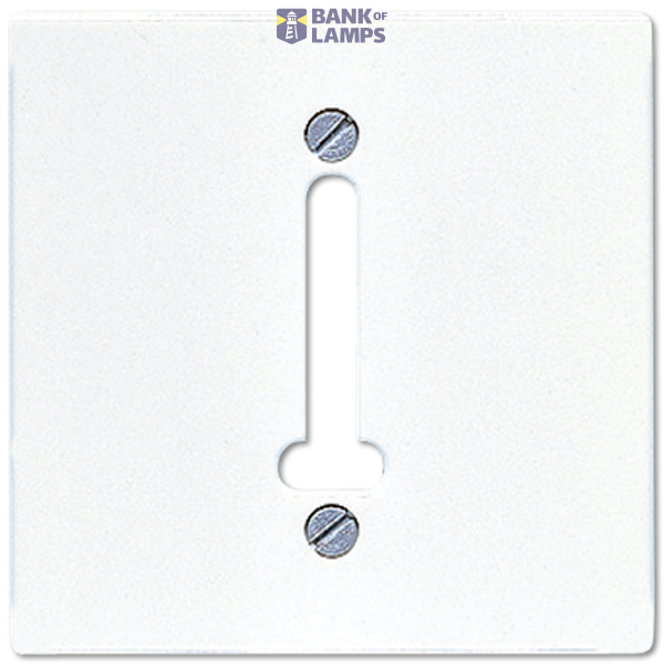 centre plate for PTT-socket image 1