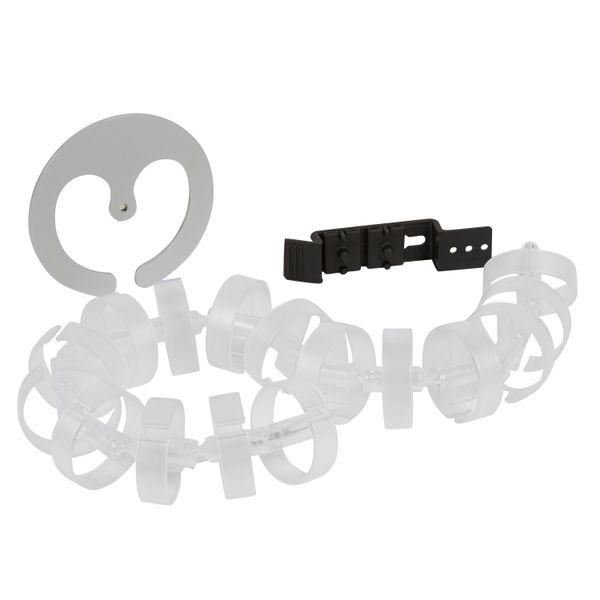 DESK VERTEBRA image 1