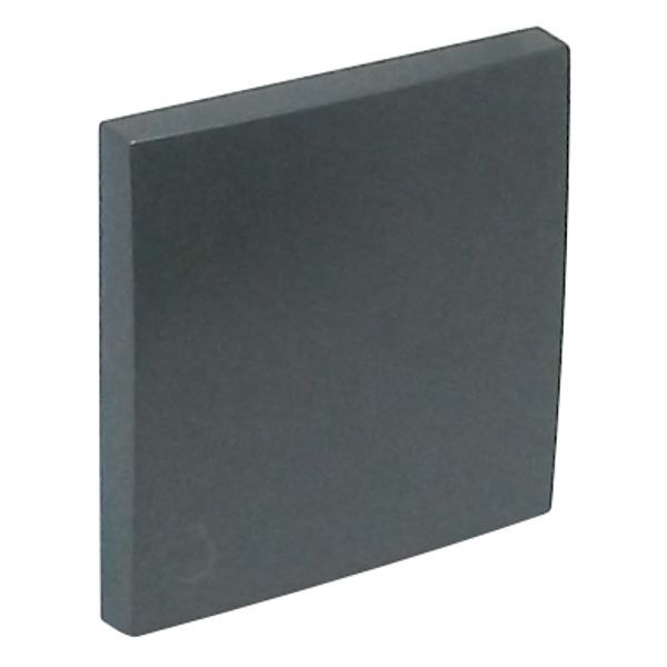 ROCKER F/SWITCHES W/LAMP SYMBOL GRAY image 2