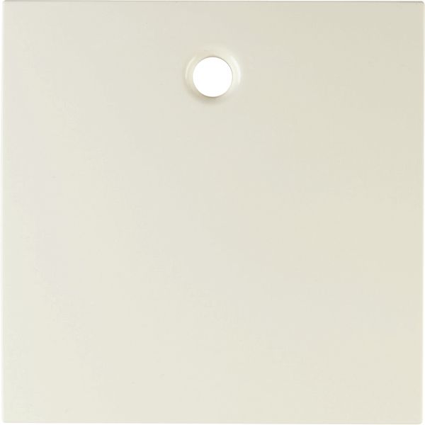 Centre plate for pullcord switch/pullcord push-button, S.1, white glos image 3