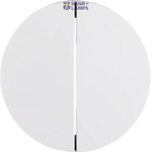 Rocker switch 2-way R.Classic polar white, glossy image 1