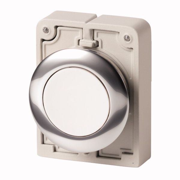 M30C-FD-W Pushbutton, RMQ-Titan, Flat, momentary, White, Blank, Metal bezel image 1